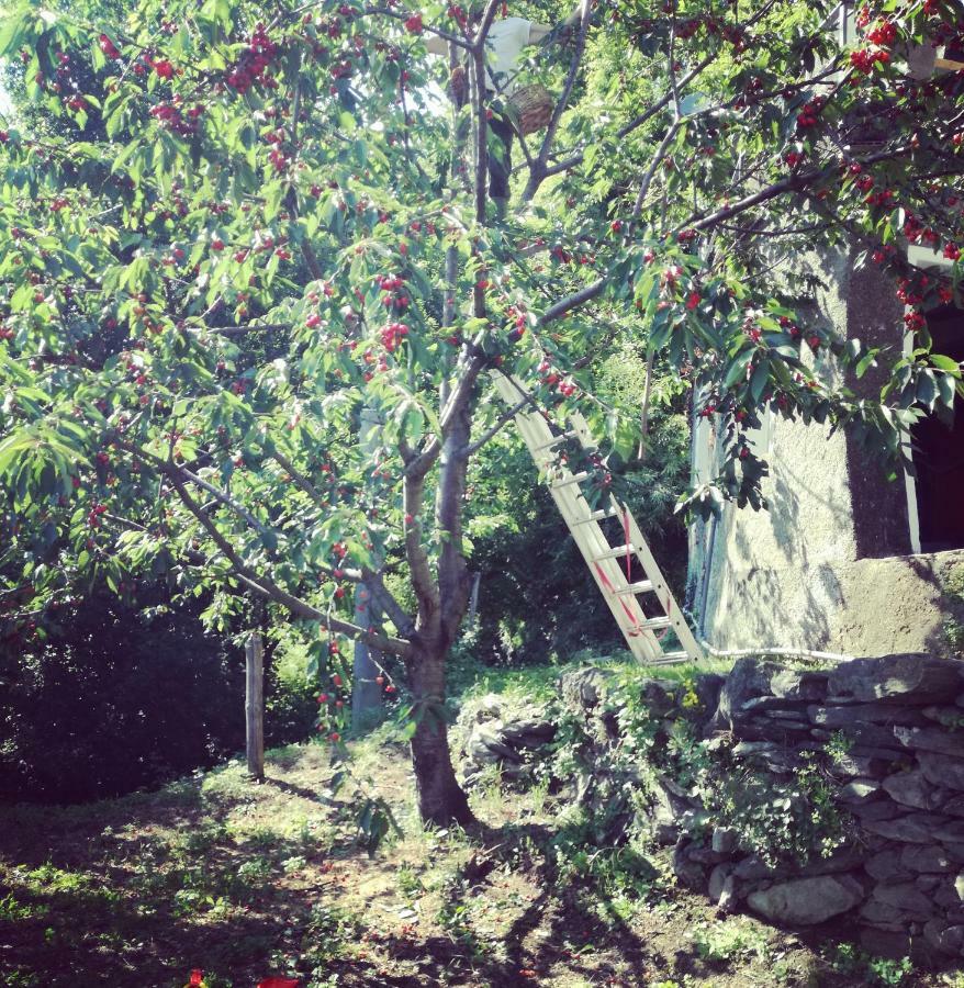 Berzuaia Bed & Breakfast Varazze Kültér fotó