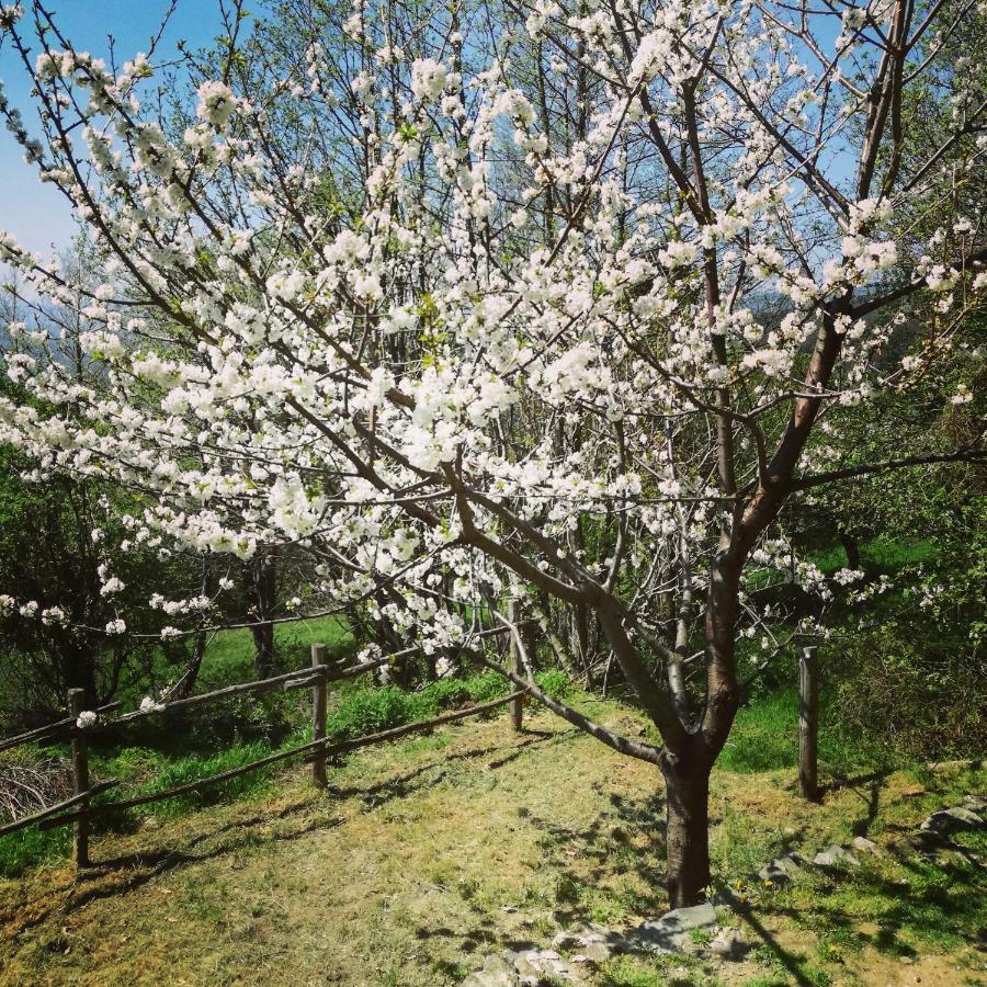 Berzuaia Bed & Breakfast Varazze Kültér fotó