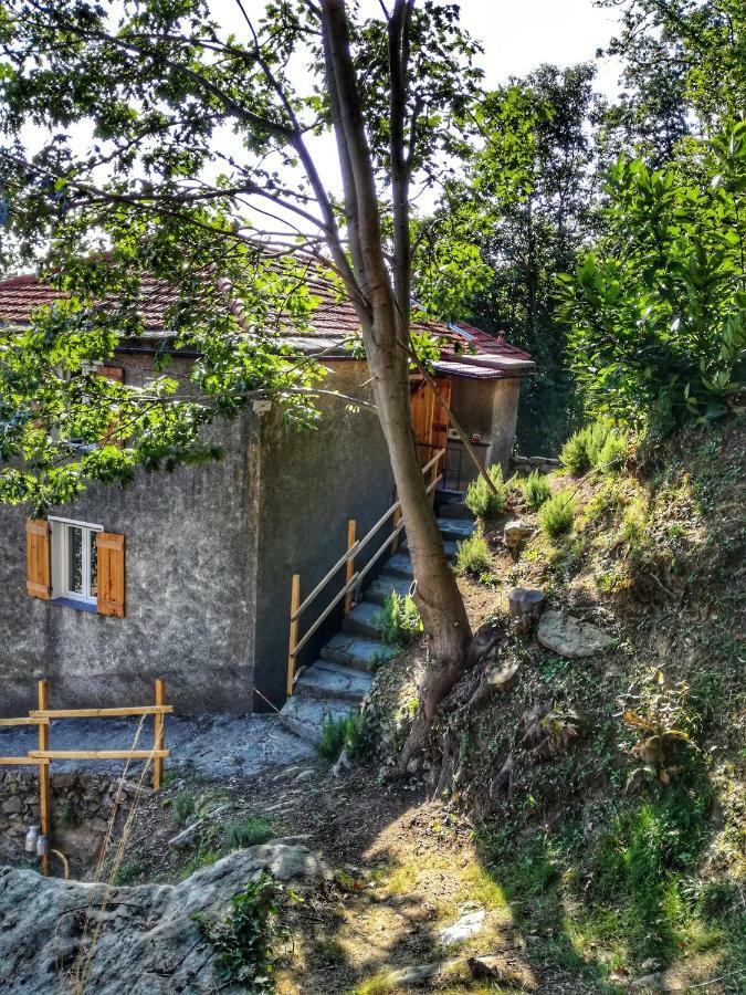 Berzuaia Bed & Breakfast Varazze Kültér fotó