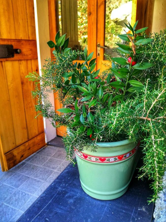 Berzuaia Bed & Breakfast Varazze Kültér fotó