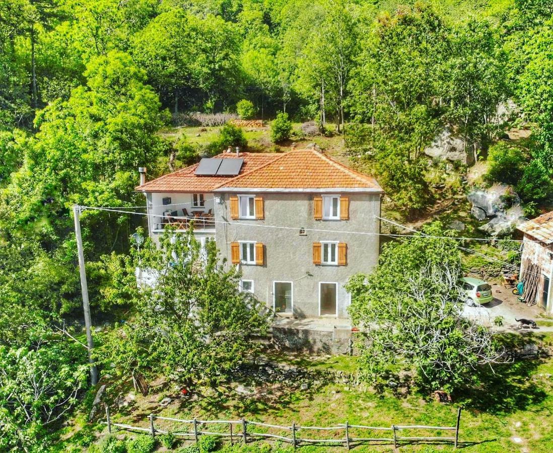 Berzuaia Bed & Breakfast Varazze Kültér fotó