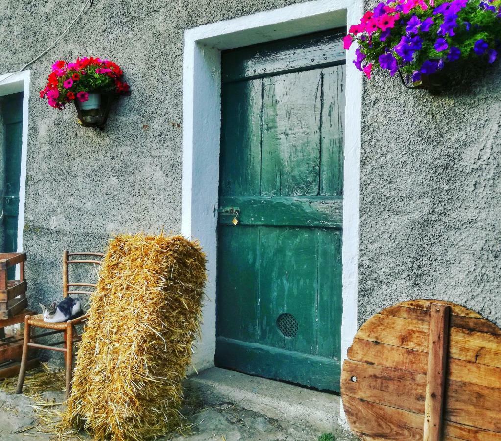 Berzuaia Bed & Breakfast Varazze Kültér fotó