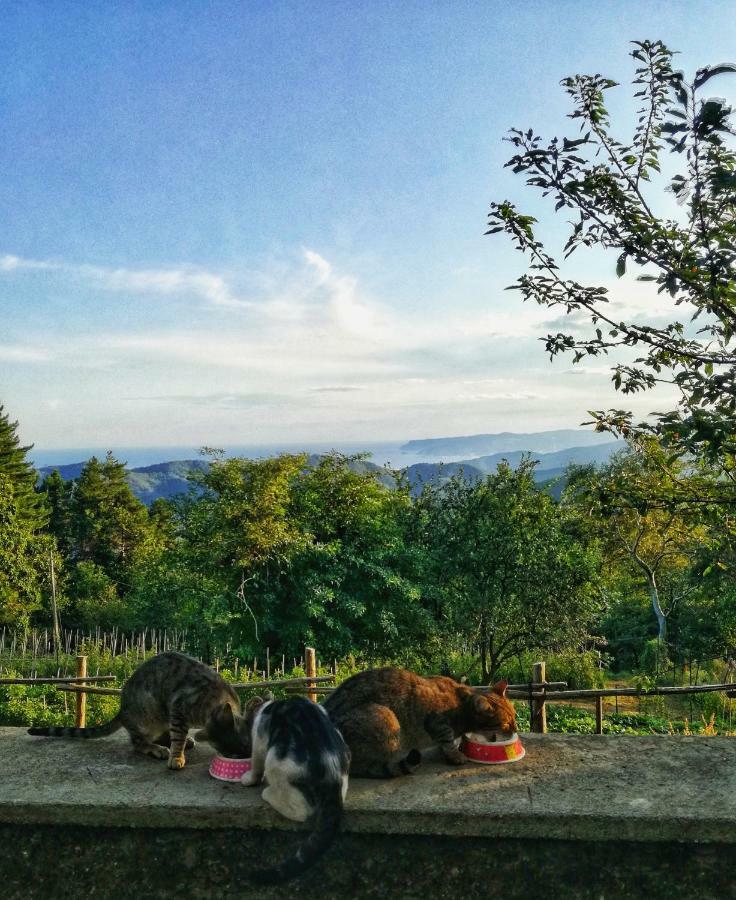 Berzuaia Bed & Breakfast Varazze Kültér fotó